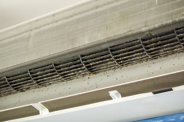 Best Ductwork Cleaning Services  in Mammoth, AZ